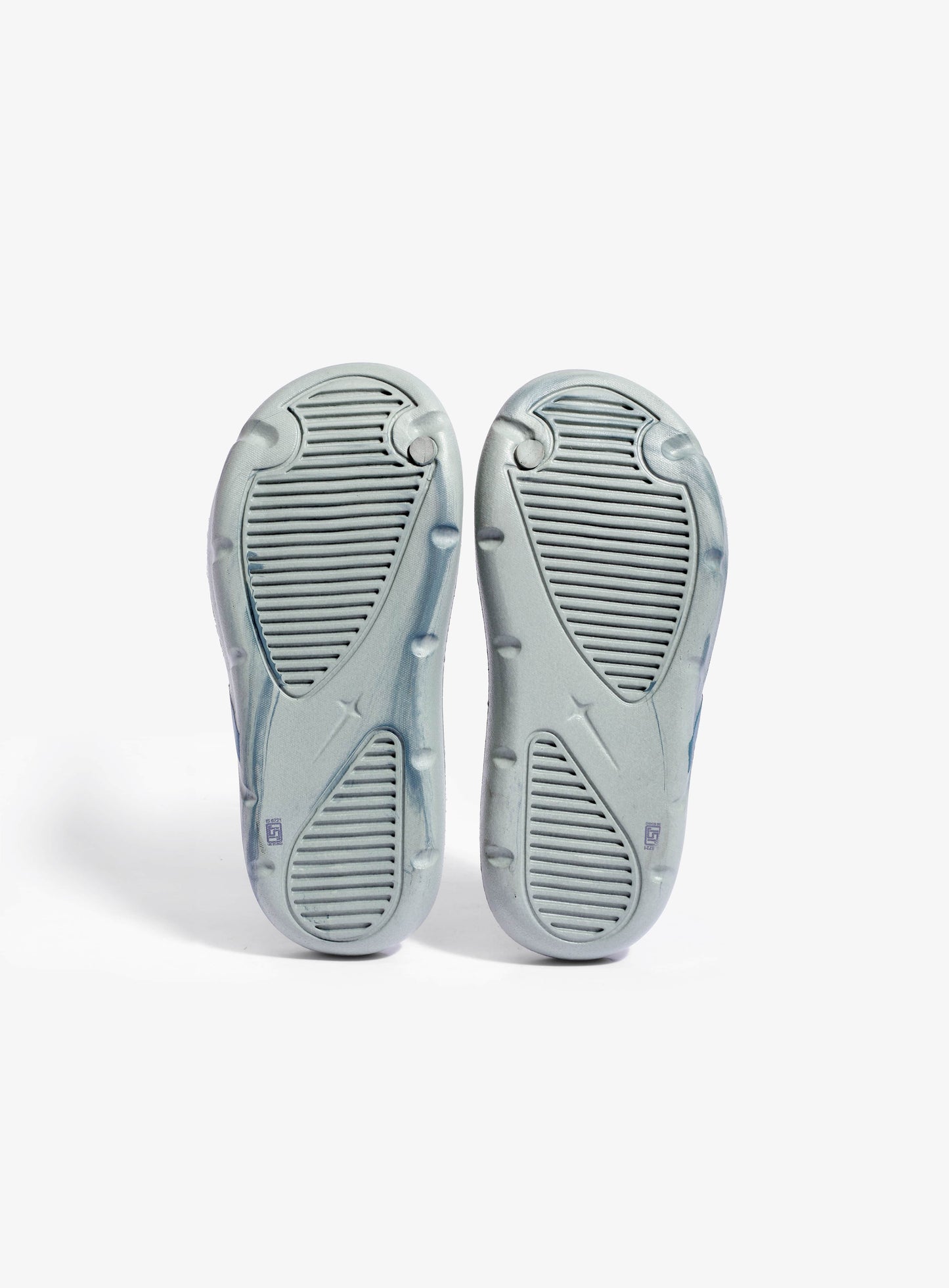 Slides GECKO